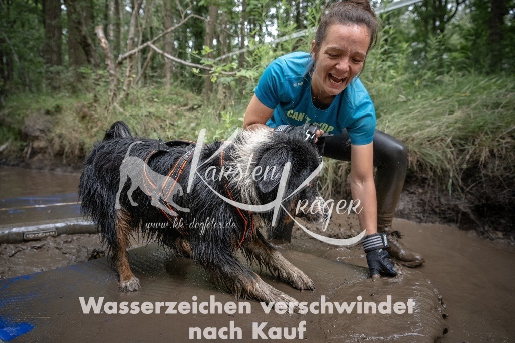 1254_ZZ91531T | kk-dogfotos