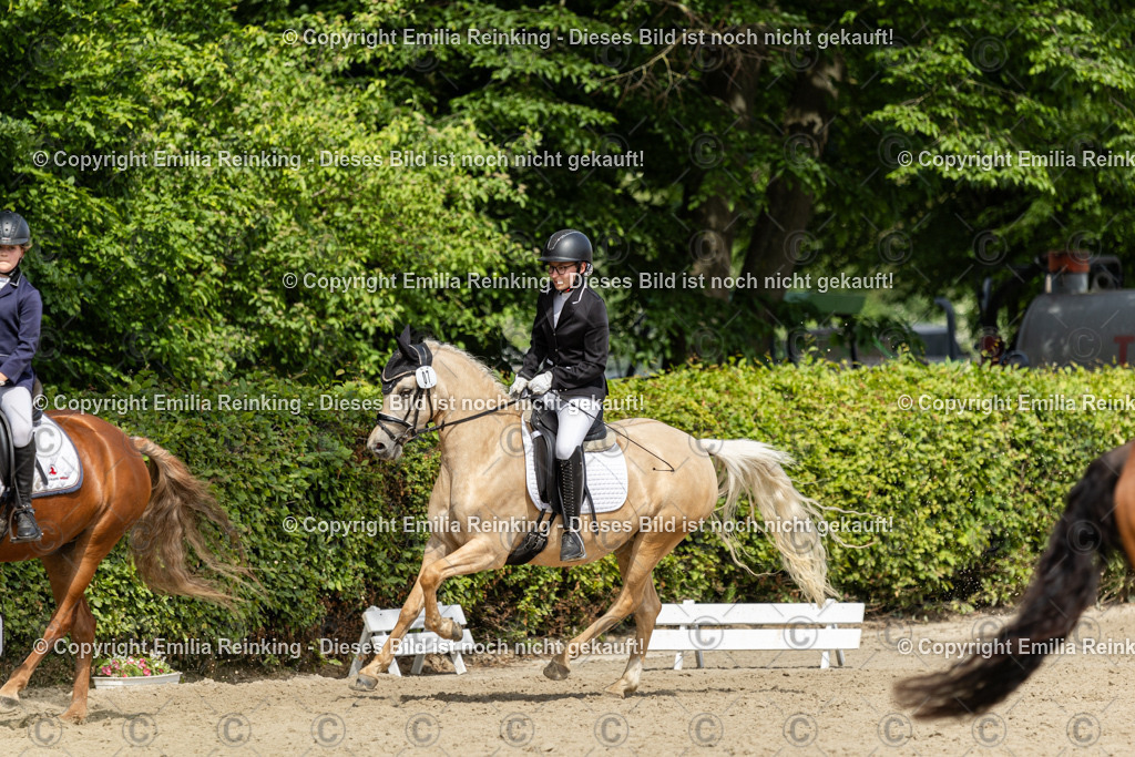 CL5A1347 | Emilia Reinking Fotografie - Realisiert mit Pictrs.com