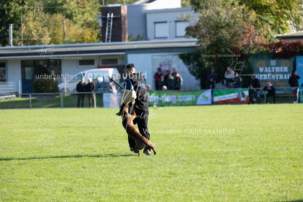 _16A5109 | Einzigartige Fotos von Hunden & Menschen –Actionfotos, Portraits, Vereinsaufnahmen & Paarshootings – authentisch, lebendig & mit Herz.