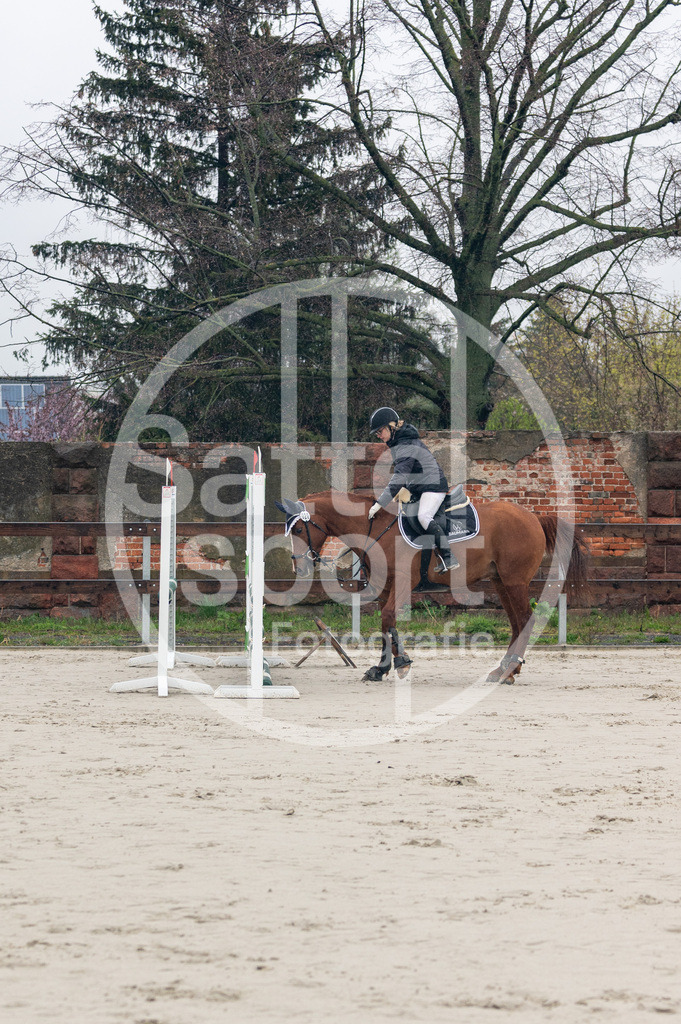 DSC_8240 | sattelsport - Realisiert mit Pictrs.com