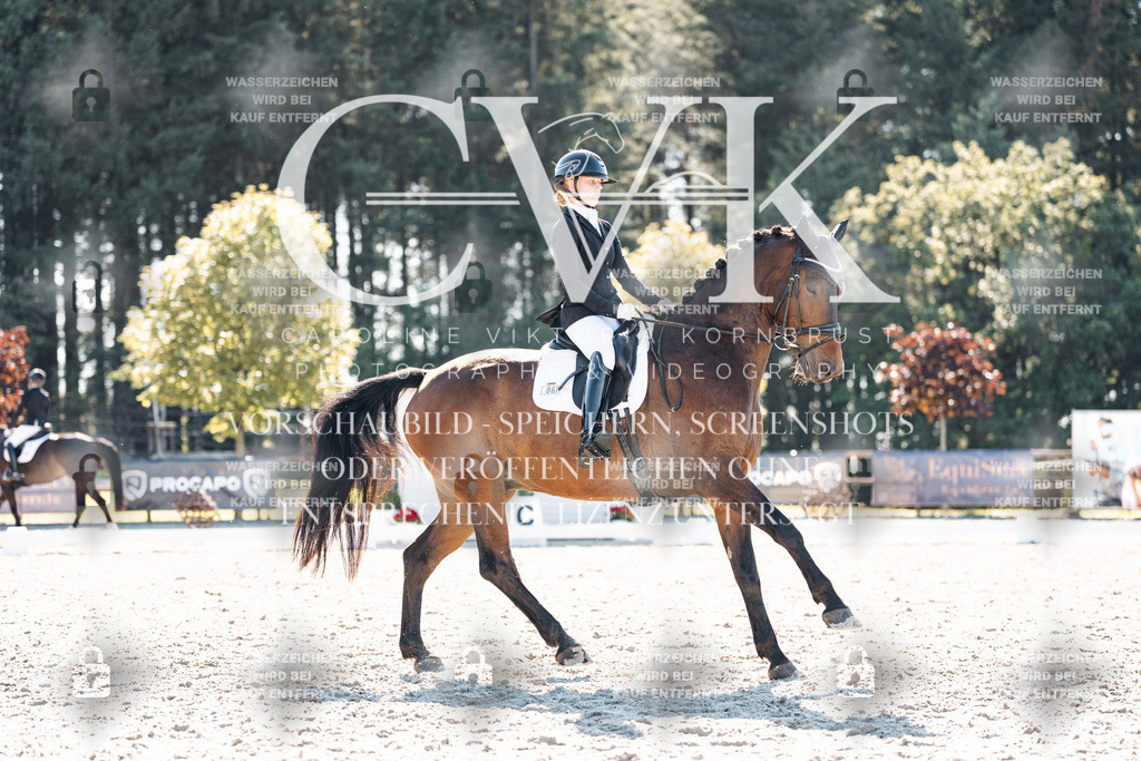 CK905722 | Turnierfotografie Pferdefotografie Trier Rheinland-Pfalz Pferdesport Reitsport Tierfotografie Sportfotografie Pferdevideo Pferdevideografie Equestrianvideography equestrianphotography  - Realisiert mit Pictrs.com