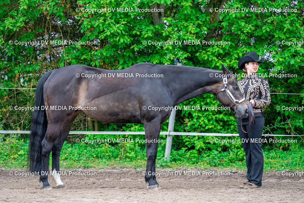 BA300206 | dv-media-shop - Realisiert mit Pictrs.com