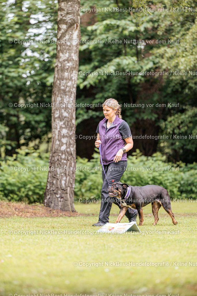 RO-Blumenthal-2026-Nickbest-Hundefotografie-1659 | Dein Hund! Dein Moment! Deine Erinnerungen! Hundefotografie in Bremen Blumenthal. Ich fange die besonderen Momente deines Vierbeiners ein – ob Indoor mit Blitzanlage oder in der freien Natur. Sicher dir dein Moment und dein Termin für eure Erinnerungen.