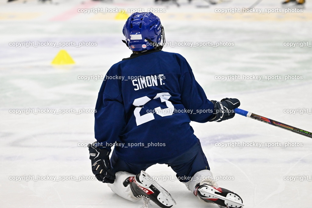 Z9B_2169 | hockey sports photos, Pressefotos, Sportfotos, hockey247, win 2day icehockeyleague, Handball Austria, Floorball Austria, ÖVV, Kärntner Eishockeyverband, KEHV, KFV, Kärntner Fussballverband, Österreichischer Volleyballverband, Alps Hockey League, ÖFB, 