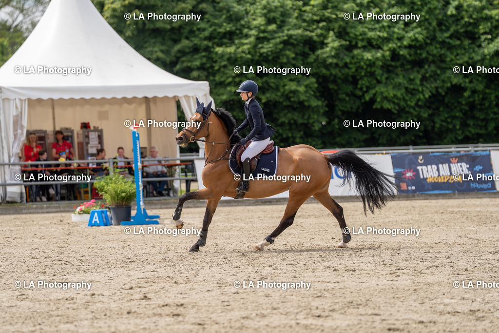 DSC05308 | Entdecke einzigartige Turnierfotos und persönliche Pferde- und Hundeportraits bei LA Photography. Für jeden Reiter und Pferd das perfekte Bild! Stöbere jetzt! - Realisiert mit Pictrs.com