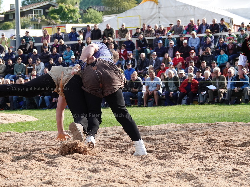 DSC07065 | Schwingen - Realisiert mit Pictrs.com