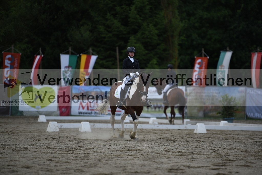 DSC_6530 | equestrian-live-com