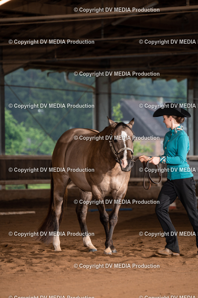 Erbach Tag 2-222 | dv-media-shop - Realisiert mit Pictrs.com