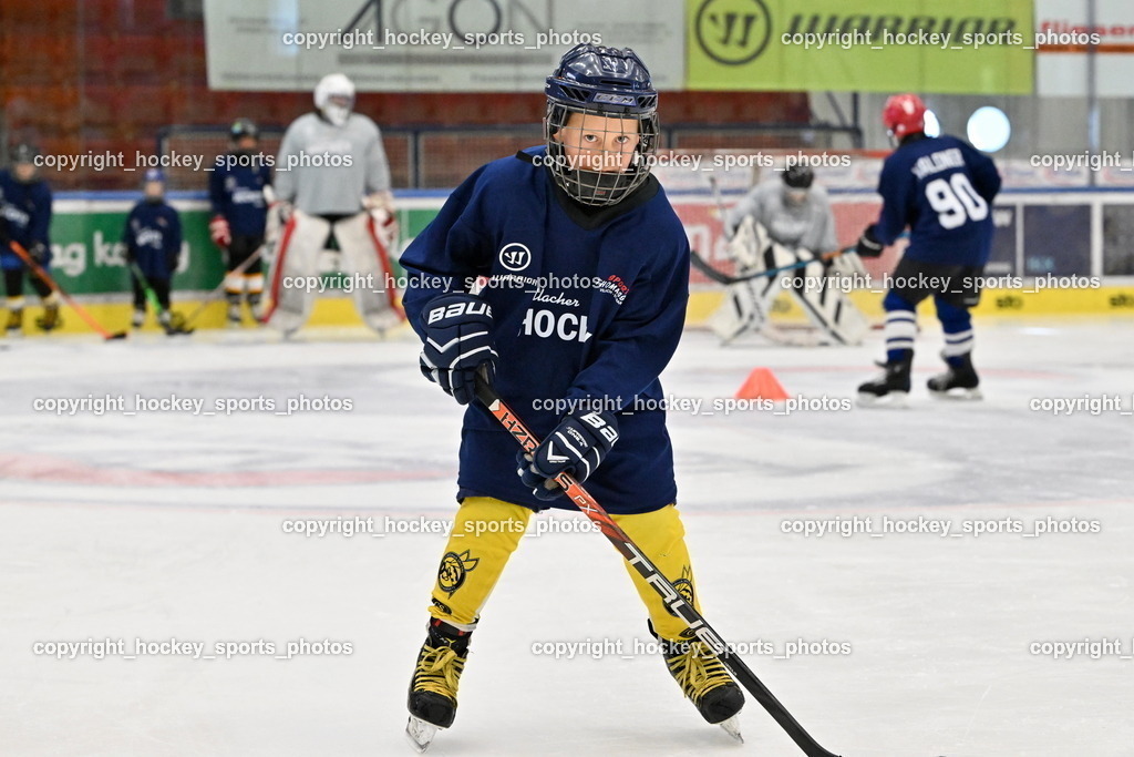 Z9B_1786 | hockey sports photos, Pressefotos, Sportfotos, hockey247, win 2day icehockeyleague, Handball Austria, Floorball Austria, ÖVV, Kärntner Eishockeyverband, KEHV, KFV, Kärntner Fussballverband, Österreichischer Volleyballverband, Alps Hockey League, ÖFB, 