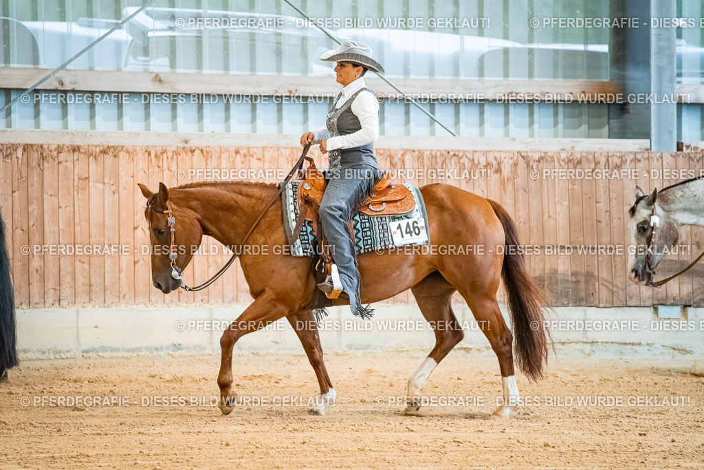 DSC09929 | Pferdegrafie