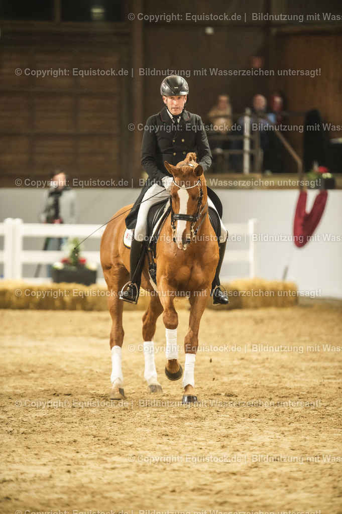 20240302_Hengstvorstellung_Marbach_TOMsPiC_0890-2 | equistock