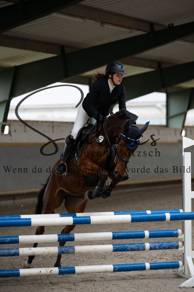 A7V07191 | Pferdefotograf