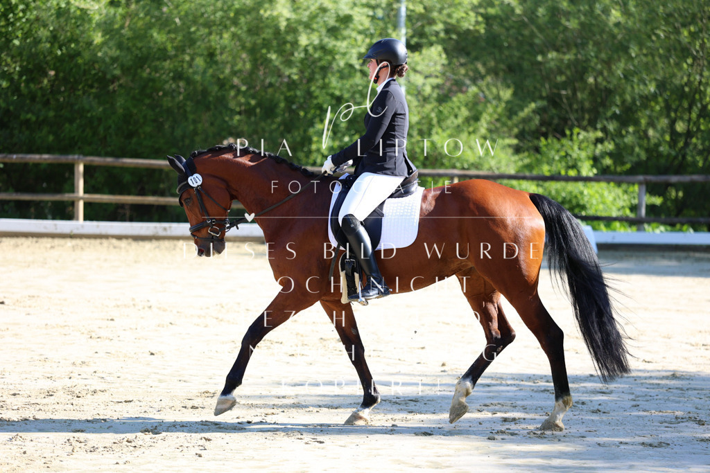 IMGT2719 | pl-fotografie