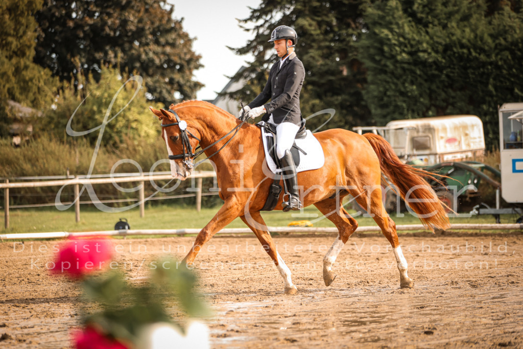 17.SoDrM00225 | Leoni Ertmer Photography - Realisiert mit Pictrs.com