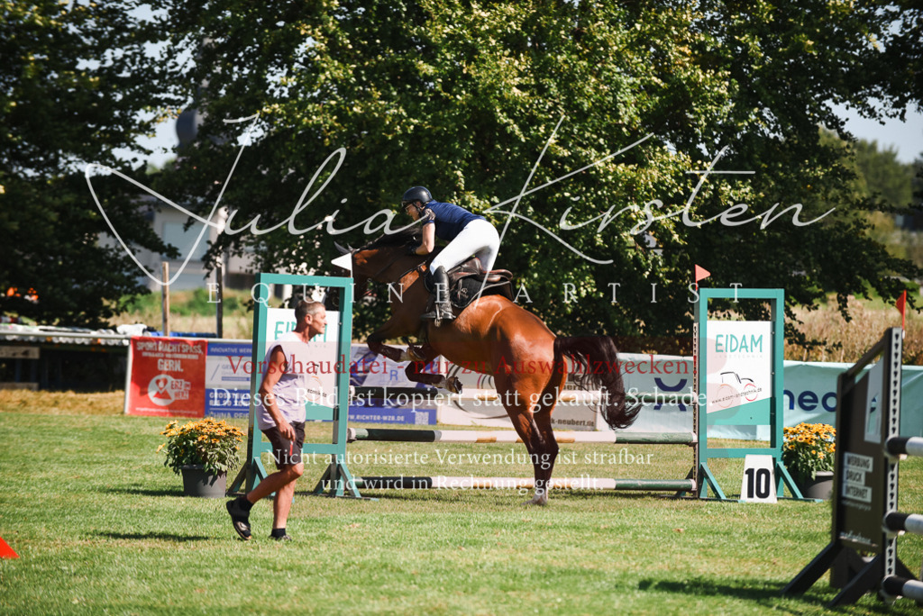 DSC_2800 | Pferde- und Turnierfotografie in Westsachsen. Pferdeportraits, Auftragszeichnungen und intuitive Kunst.