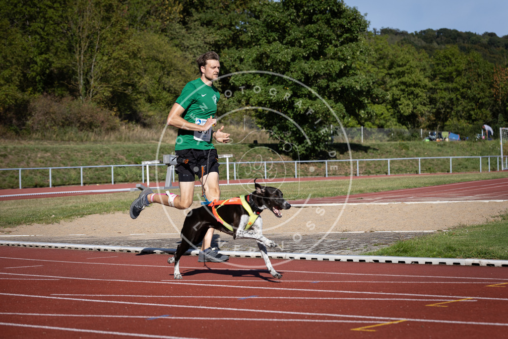 Pfotenfotografie_DV3A9438 | Hundefotografie, Tierfotograf, Pfotenfotografie, Fotoshooting Hund, Hunde Portrait, Hundesport, Hundeportraits, Heideshooting, Hunde, Sportfotograf, Hundefotograf, Turnierhundsport, THS,  - Realisiert mit Pictrs.com