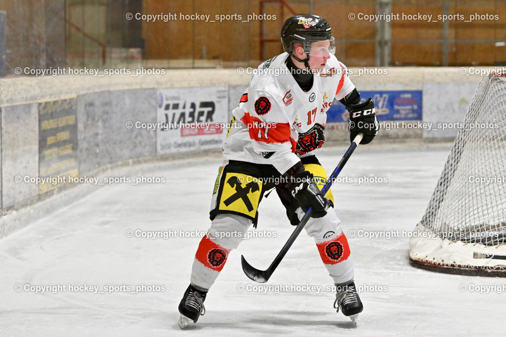 EC MET PHOTOVOLTAIK HORNETS SPITTAL vs. EV ZELTWEG MURTAL LIONS | #17 Logar Miha EV ZELTWEG MURTAL LIONS, EC MET PHOTOVOLTAIK HORNETS SPITTAL vs. EV ZELTWEG MURTAL LIONS, EC MET PHOTOVOLTAIK HORNETS SPITTAL vs. EV ZELTWEG MURTAL LIONS am 08.02.2026 in Spittal an der Drau (Eissportzentrum Spittal), Austria, (Photo by Bernd Stefan)