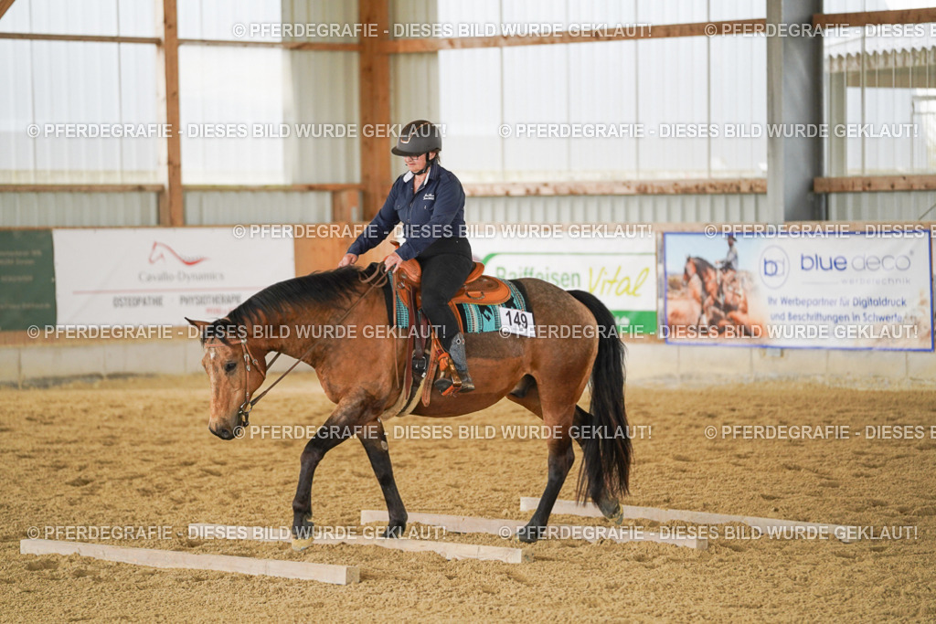 DSC03858 | Pferdegrafie