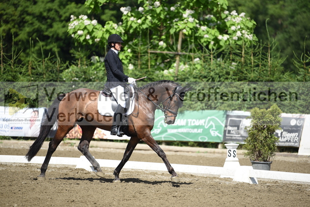 DSC_0046 | equestrian-live-com