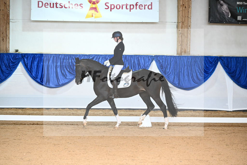 Kat-Nr. 76 First Lady_Jamieson_Kat-Nr. 121 Roma_Scherer_14240105 | hf-fotografie - Realisiert mit Pictrs.com