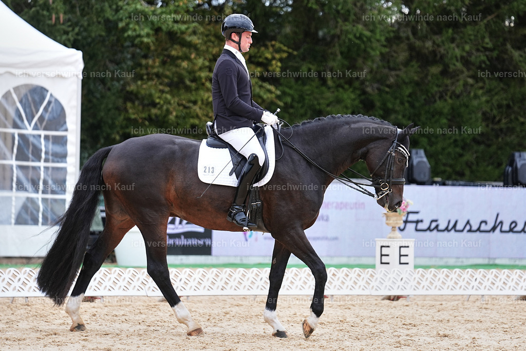 3-213-Dressur M_-Marixx-2003 | working equitationturnier fotograf videograf stoibphotography marixx film working equitation deutschland reitsport turnierfotografie eventfotografie equestrian events