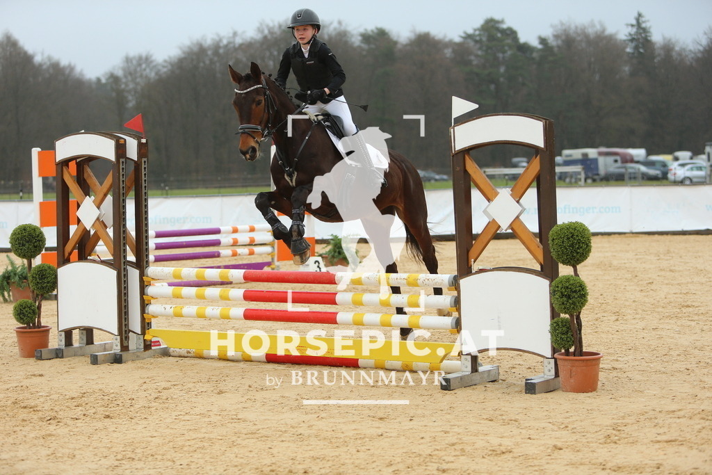 DL2Q1257 | Willkommen bei Brunnmayr - Design & Fotografie – Ihrem Spezialisten für Reitturniere und Pferdeveranstaltungen in Oberösterreich, Salzburg und Bayern! Seit über 17 Jahren sind wir leidenschaftlich dabei.