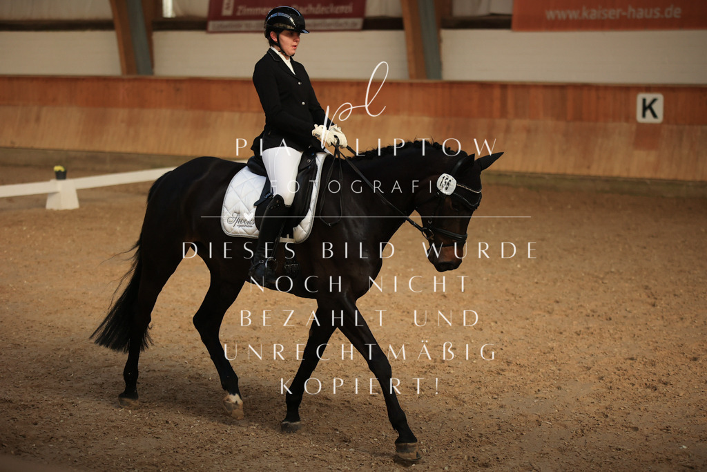 IMGT3679 | pl-fotografie