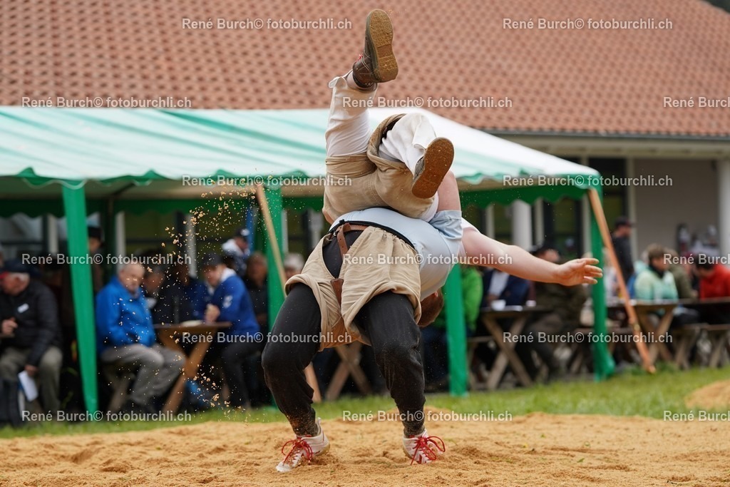 20220424-DSC09599 | René Burch leidenschaftlicher Fotograf aus Kerns in Obwalden.  Hier finden sie Sport, Landschaft und Natur Fotografie.
 - Realisiert mit Pictrs.com