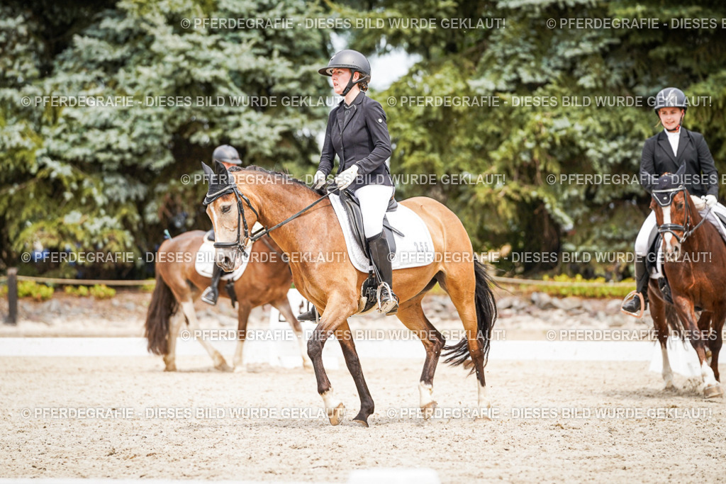 DSC04401 | Pferdegrafie