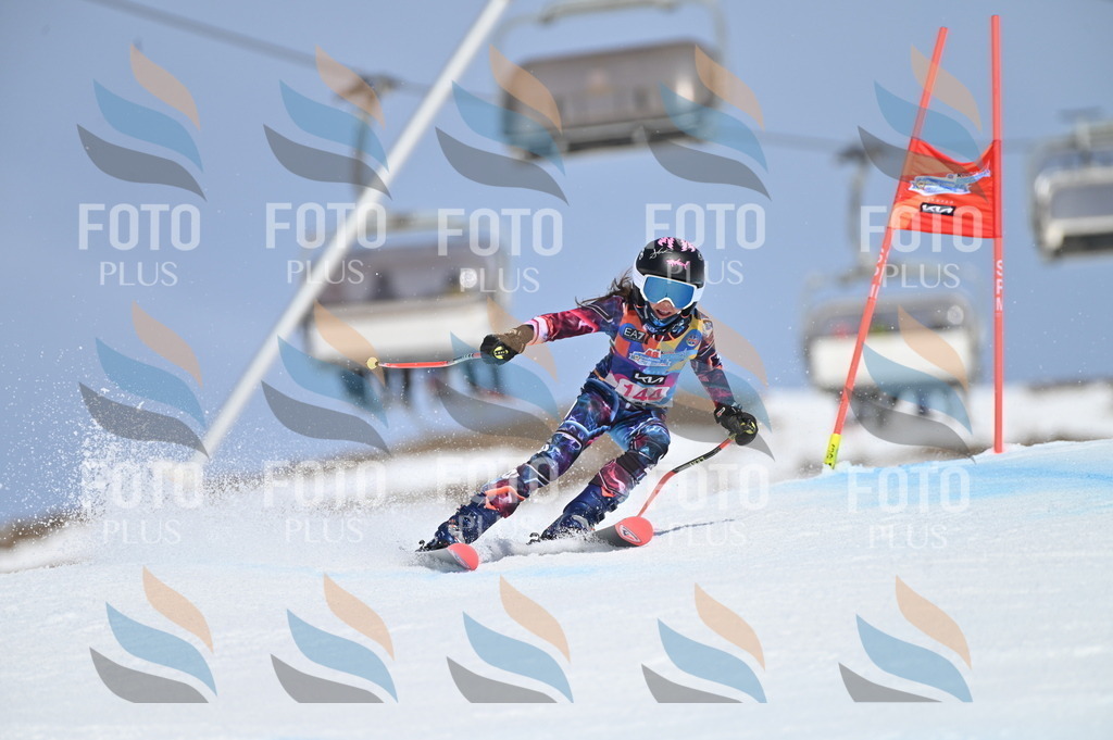 BGV_0212 | holidayphoto