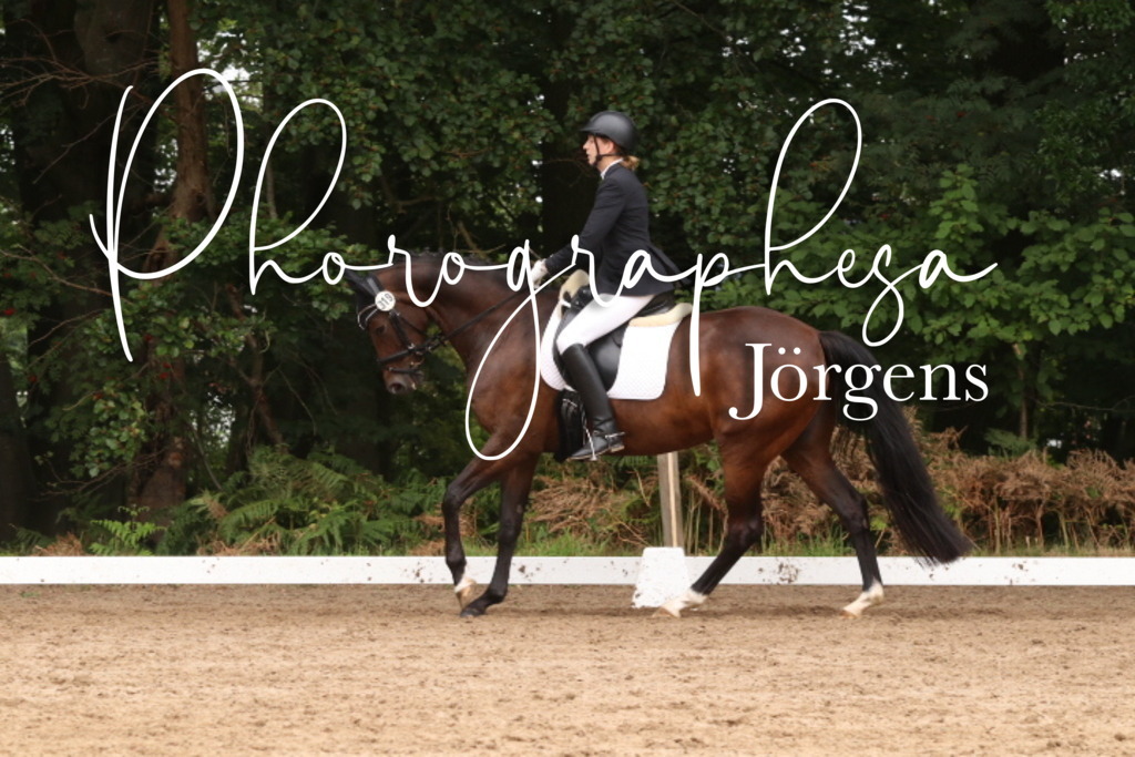 IMG_9996 | photographesa-joergens - Realisiert mit Pictrs.com