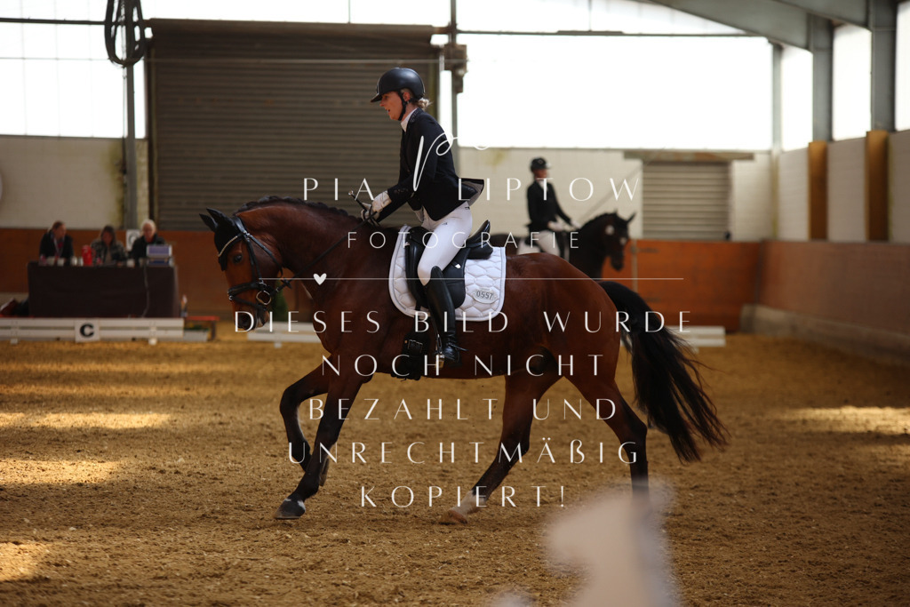 IMGT4324 | pl-fotografie