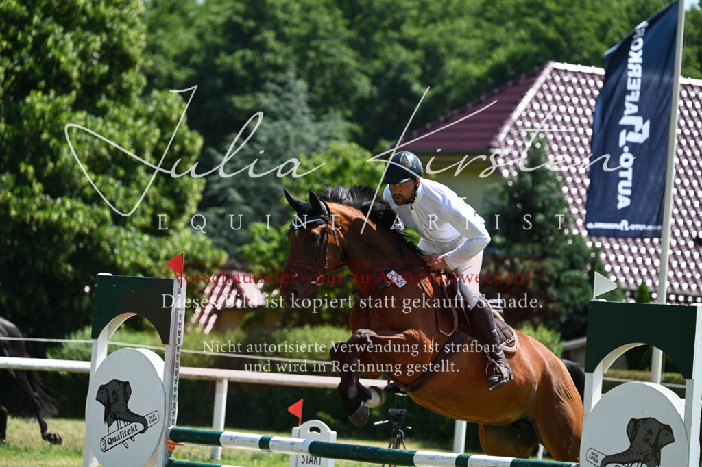 DSC_0586 | Pferde- und Turnierfotografie in Westsachsen. Pferdeportraits, Auftragszeichnungen und intuitive Kunst.