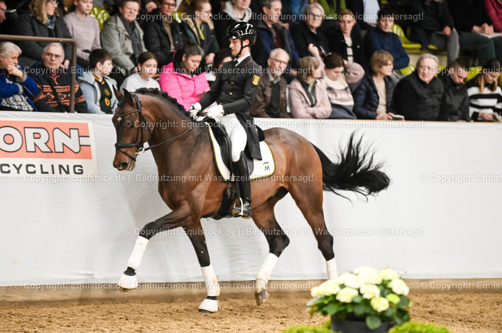 20260307_Hengstvorstellung-Marbach_0382 | equistock