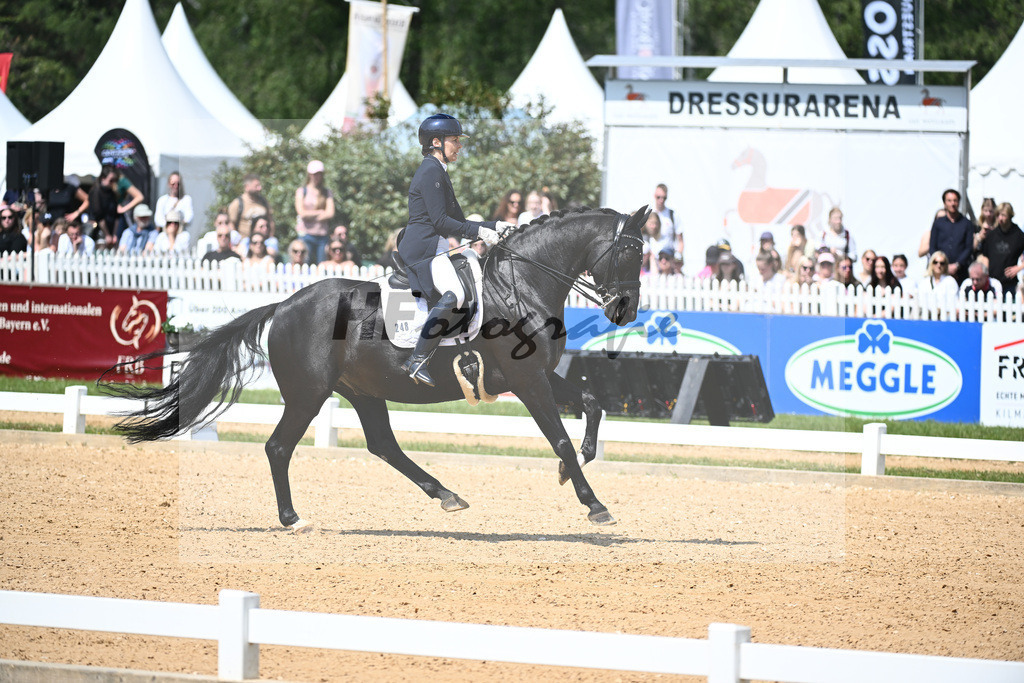 Borgmann-Reuter_Sanrico_12243687 | hf-fotografie - Realisiert mit Pictrs.com