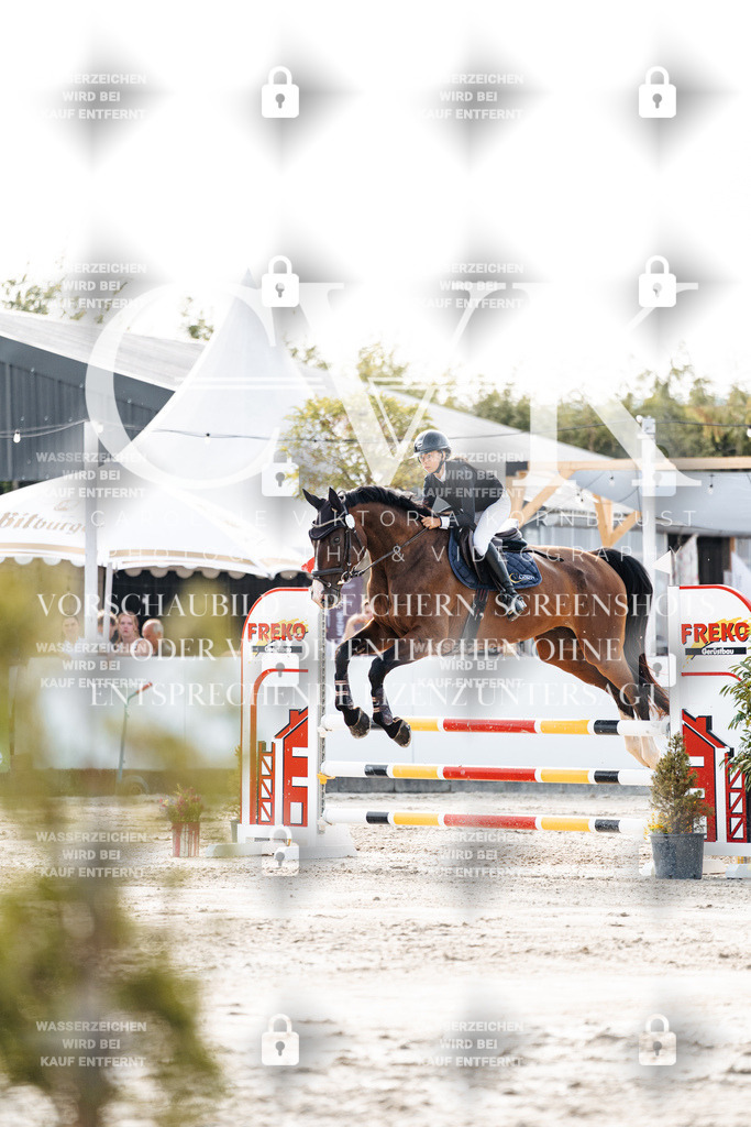CK906379 | Turnierfotografie Pferdefotografie Trier Rheinland-Pfalz Pferdesport Reitsport Tierfotografie Sportfotografie Pferdevideo Pferdevideografie Equestrianvideography equestrianphotography  - Realisiert mit Pictrs.com