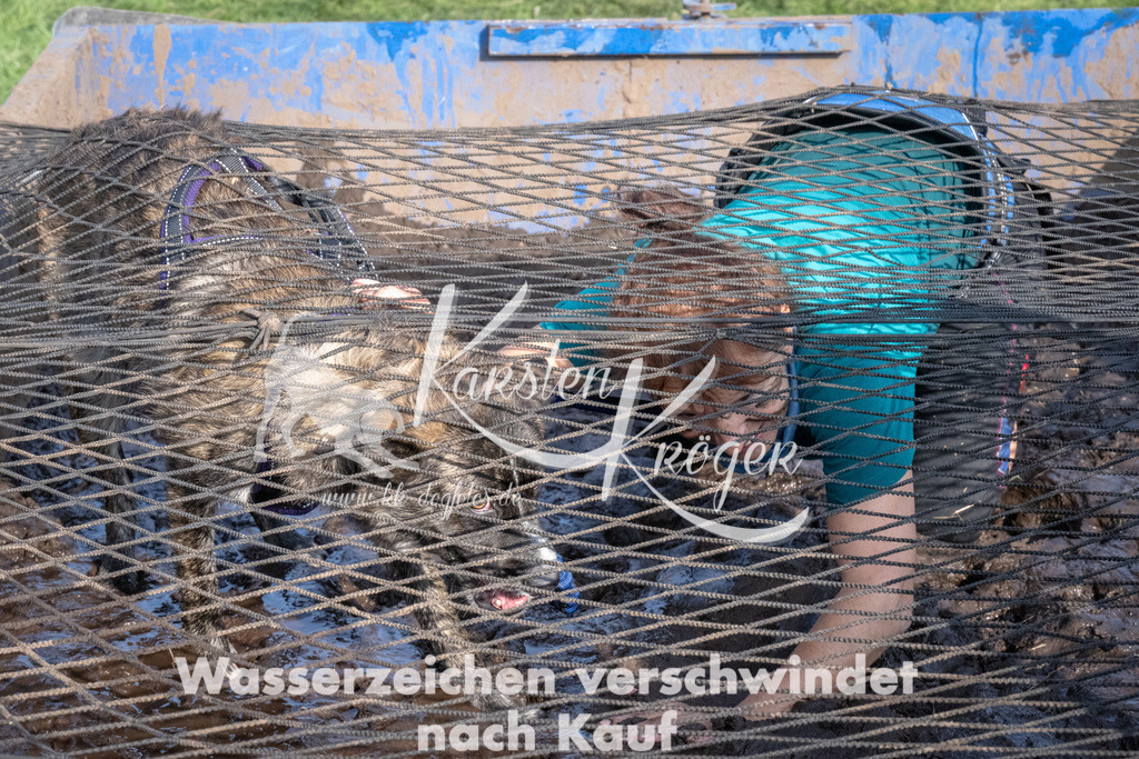 1641_ZZ92735 | kk-dogfotos