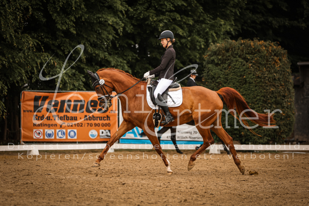 DoDrA00252 | Leoni Ertmer Photography - Realisiert mit Pictrs.com