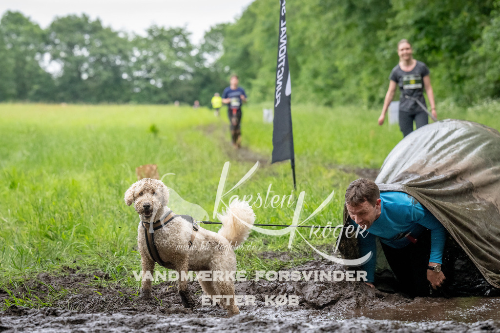 1553_ZZ90929-Bearbeitet | kk-dogfotos