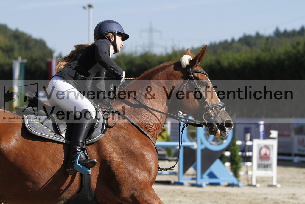 _MG_7927 | equestrian-live-com