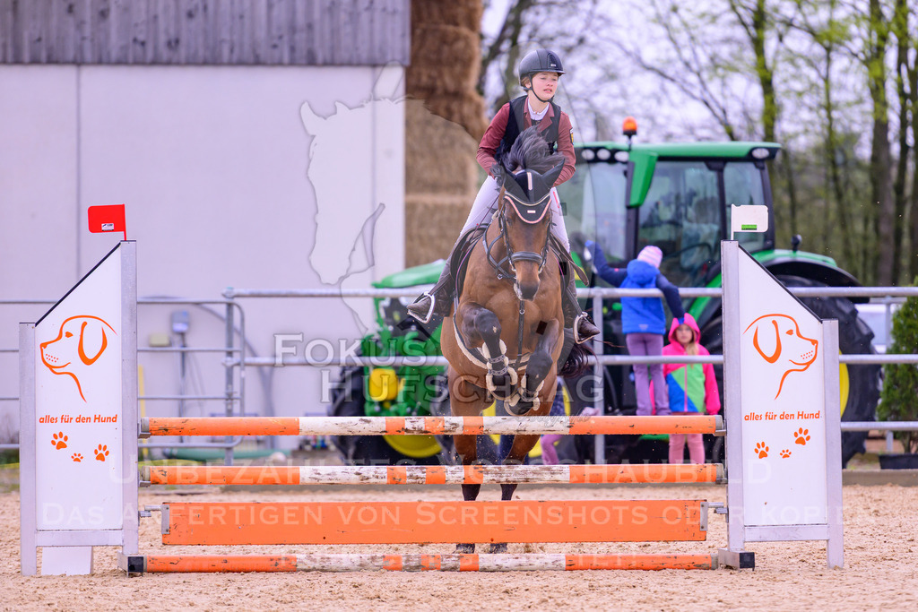12042026-Mammendorf-Prfg38-0686 | Fokus Hufschlag Fotografie - Realisiert mit Pictrs.com