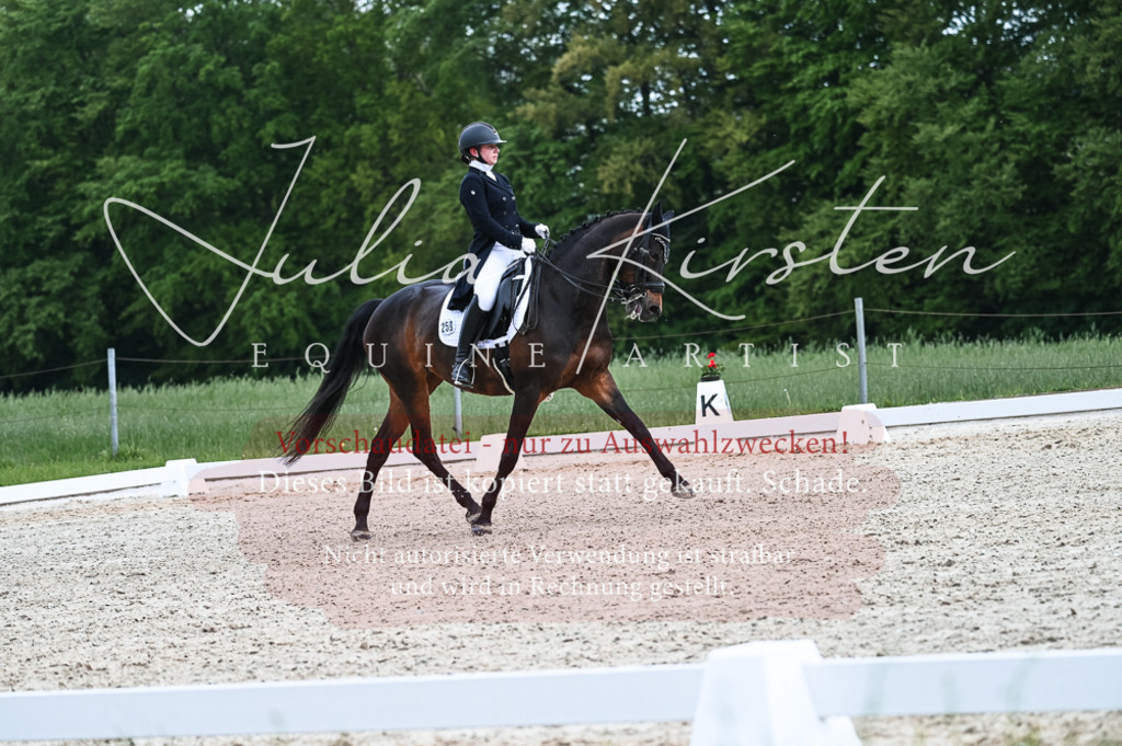 20230514_JK-Röhrsdorf-20-252 | Pferde- und Turnierfotografie in Westsachsen. Pferdeportraits, Auftragszeichnungen und intuitive Kunst.