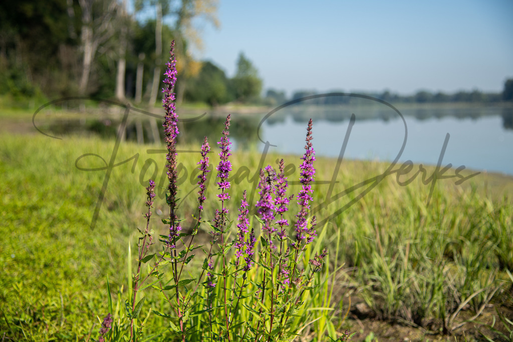 Landschaft-1-17 | fotografie-derks - Realisiert mit Pictrs.com