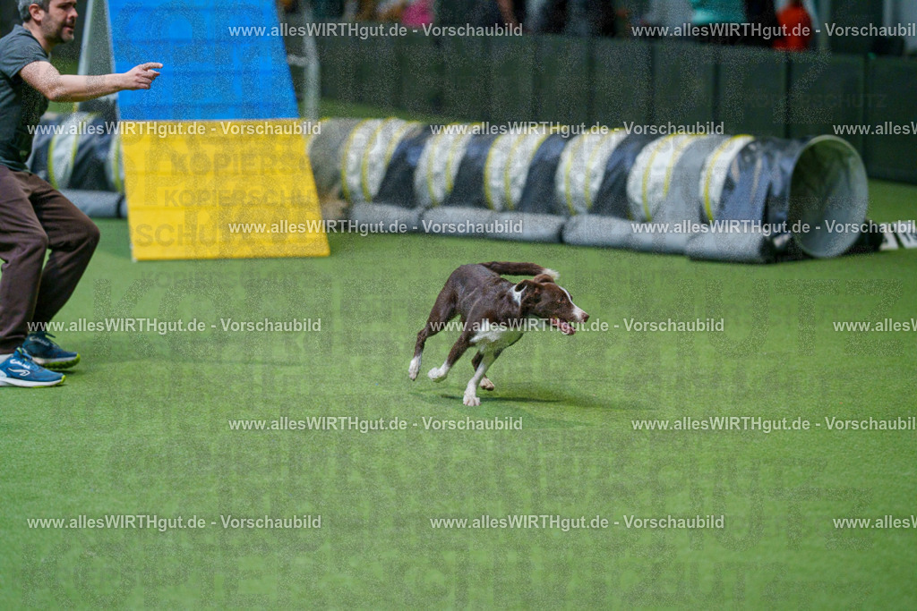 @allesWIRTHgut_Tierfotografie - www.allesWIRTHgut.de - 2604250837-7R507160 | Professionelle Tierfotografie in Mönchengladbach von Daniel Wirth (allesWIRTHgut). Liebevolle & natürliche Bilder von Hunden & Katzen für unvergessliche Erinnerungen.