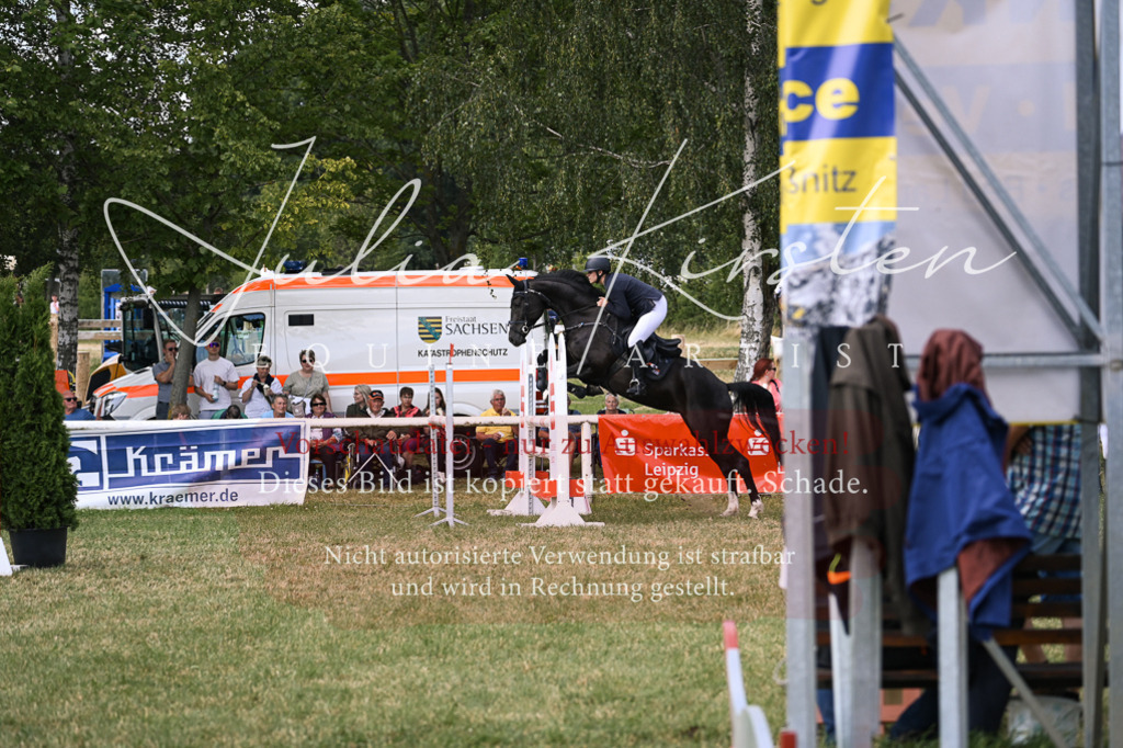 DSC_0810 | Pferde- und Turnierfotografie in Westsachsen. Pferdeportraits, Auftragszeichnungen und intuitive Kunst.