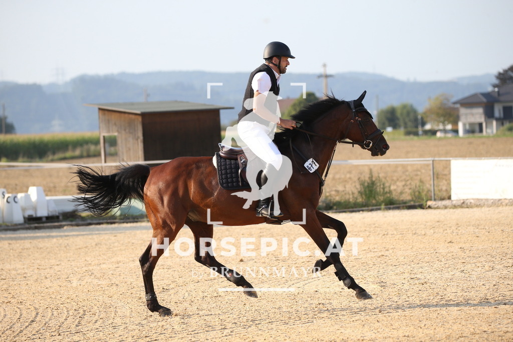 DL2Q2421 | Willkommen bei Brunnmayr - Design & Fotografie – Ihrem Spezialisten für Reitturniere und Pferdeveranstaltungen in Oberösterreich, Salzburg und Bayern! Seit über 17 Jahren sind wir leidenschaftlich dabei.