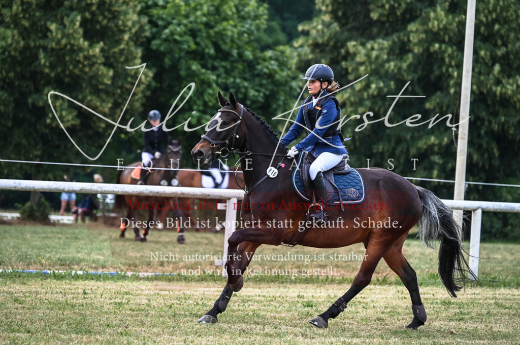 DSC_8225 | Pferde- und Turnierfotografie in Westsachsen. Pferdeportraits, Auftragszeichnungen und intuitive Kunst.