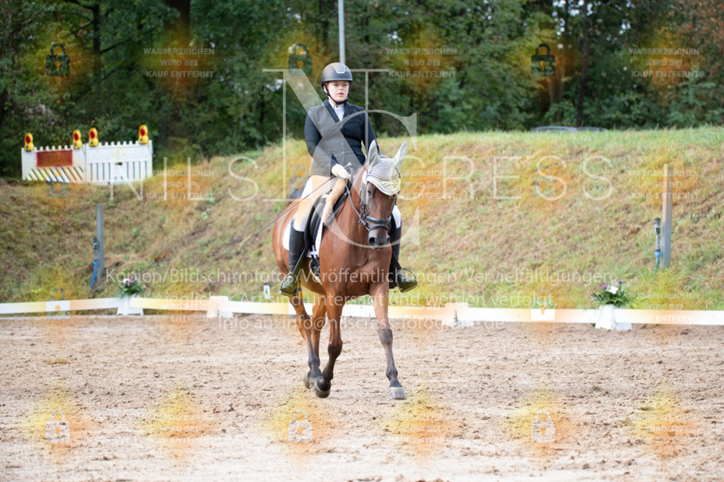 DSC_1411 | Nils Cress - Fotografie - Realisiert mit Pictrs.com