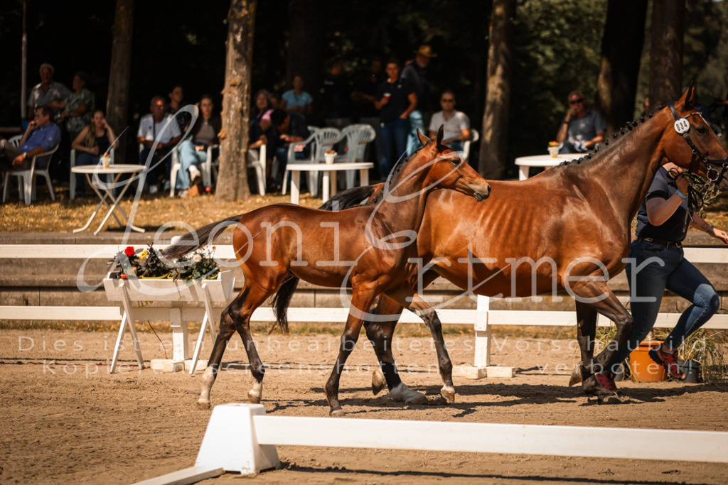 07.DoWBS00022 | Leoni Ertmer Photography - Realisiert mit Pictrs.com