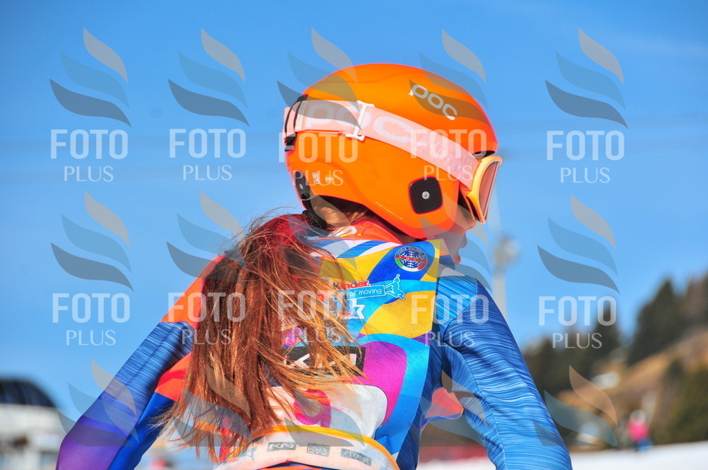 DSC_3751 | holidayphoto